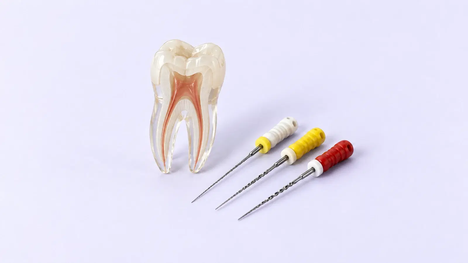 Endodontics course illustration